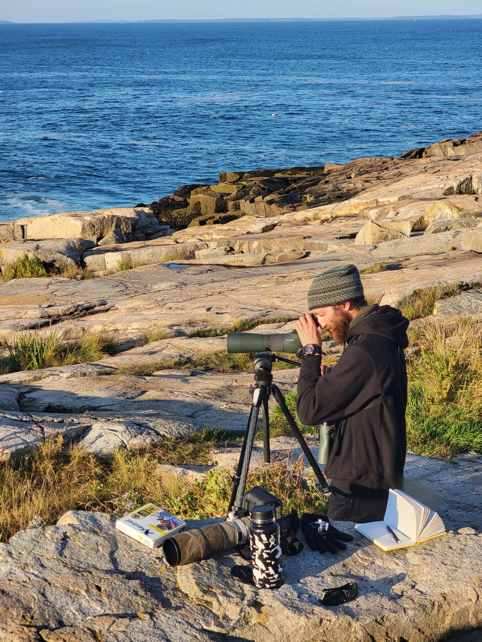 A birder looks through a telescope at Schoodic Point during SeaWatch in Acadia National Park.