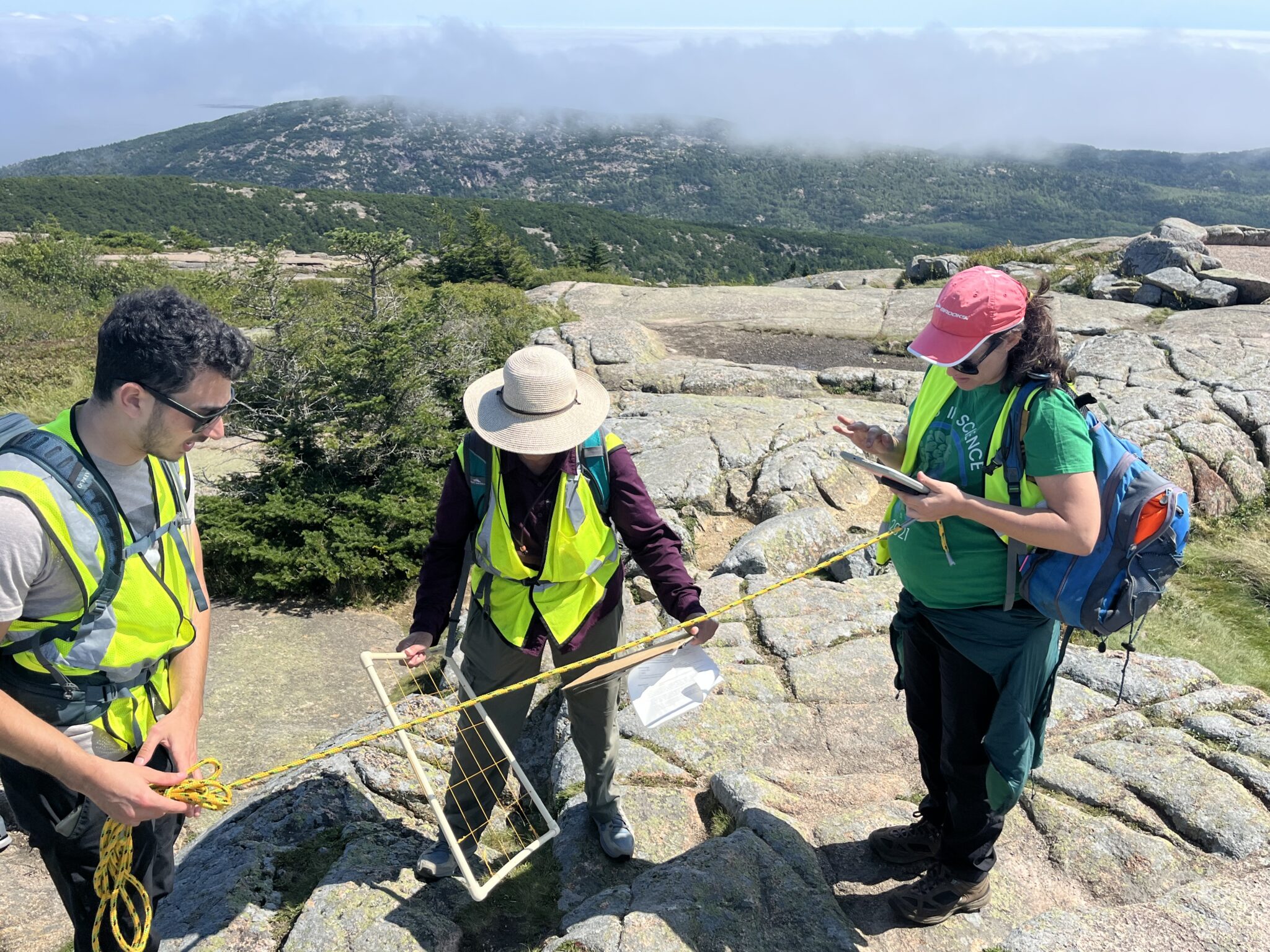 Earthwatch volunteers prepare to collect data on the presence or absence of three-toothed cinquefoil and black crowberry.