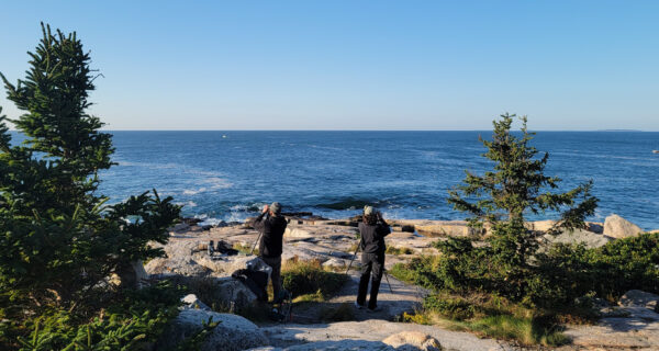 Two birders face the sea, looking for birds at Schoodic Point in Acadia National Park.