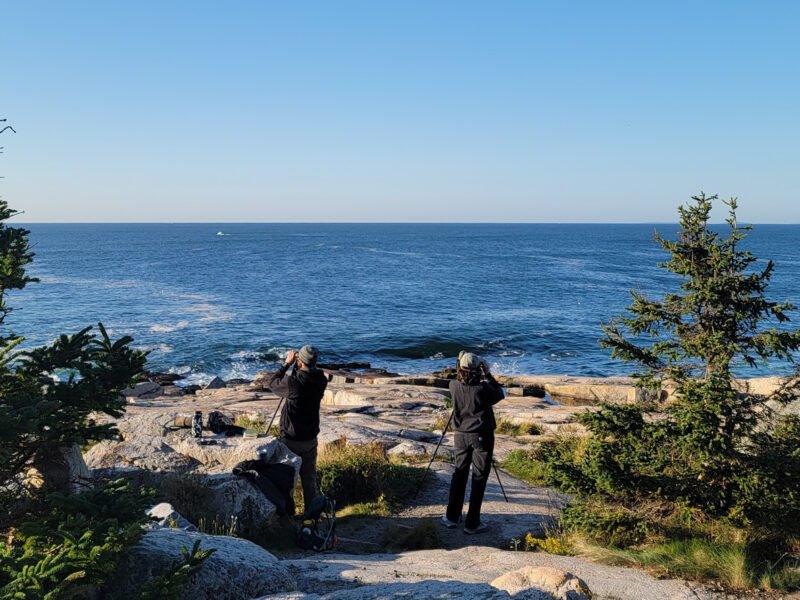 Two birders face the sea, looking for birds at Schoodic Point in Acadia National Park.