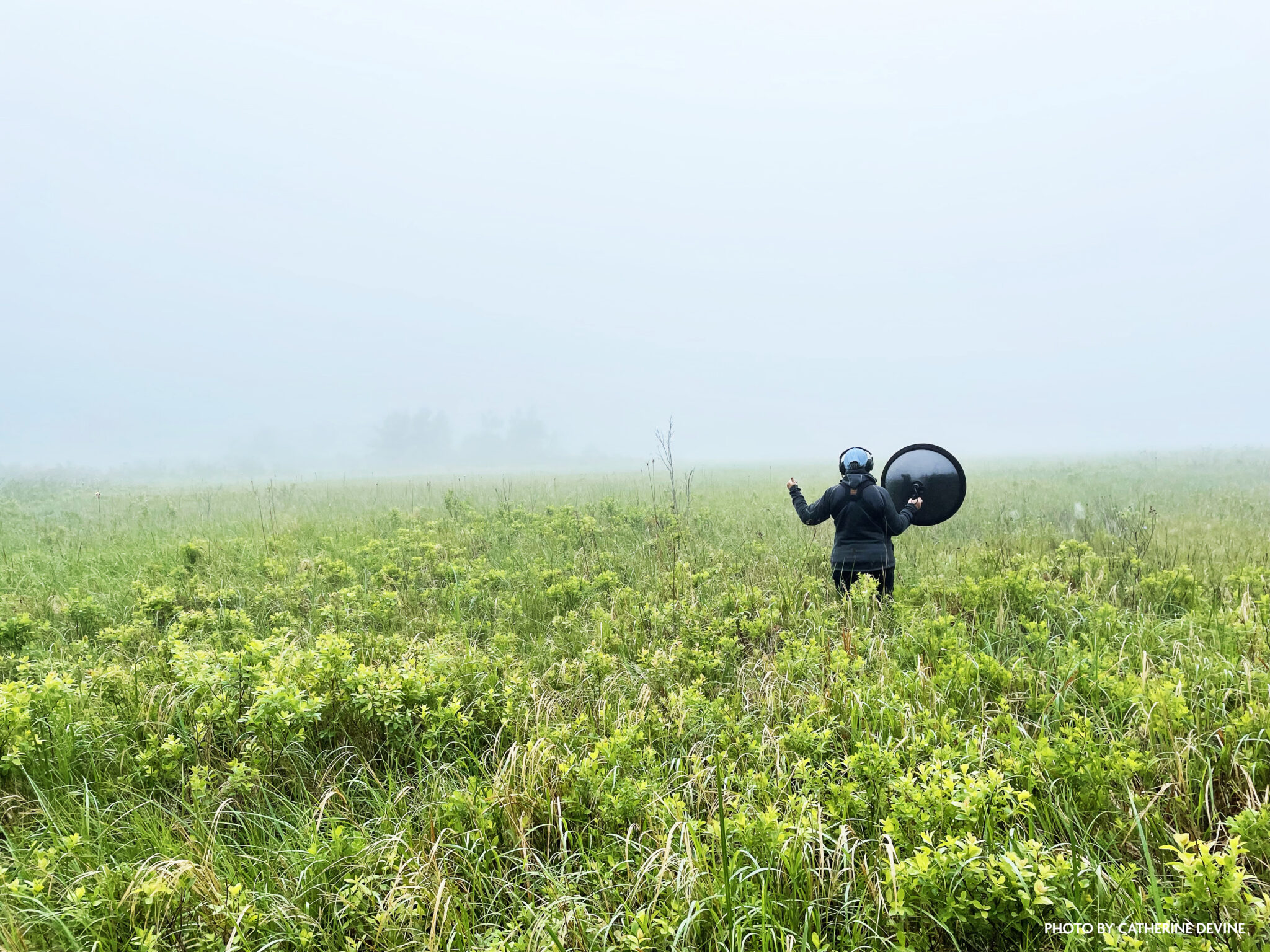 Laura Sebastianelli records bird sounds in Acadia National Park on a foggy day.