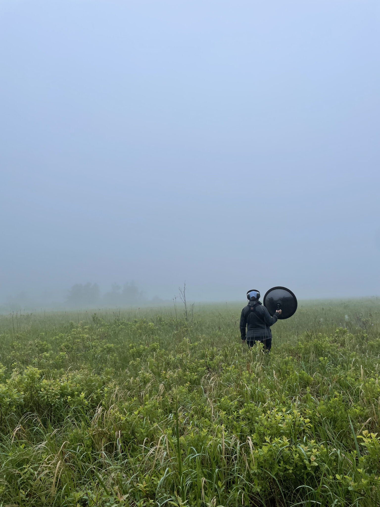 Laura Sebastianelli records bird sounds in Acadia National Park on a foggy day.