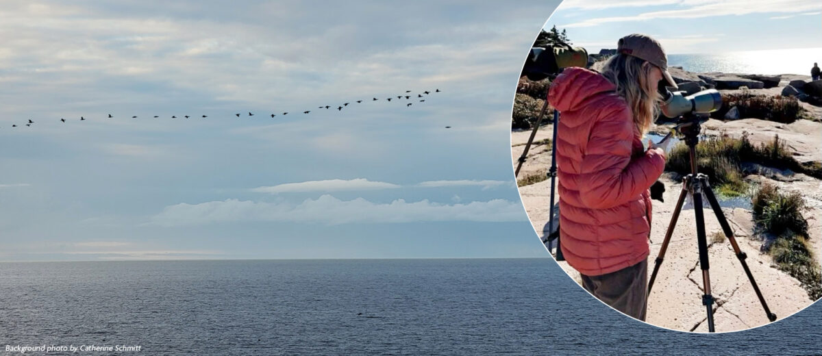 Background image shows bird flying over the horizon at Schoodic Point, overlaid with an image of a science researcher birding at Schoodic Point.