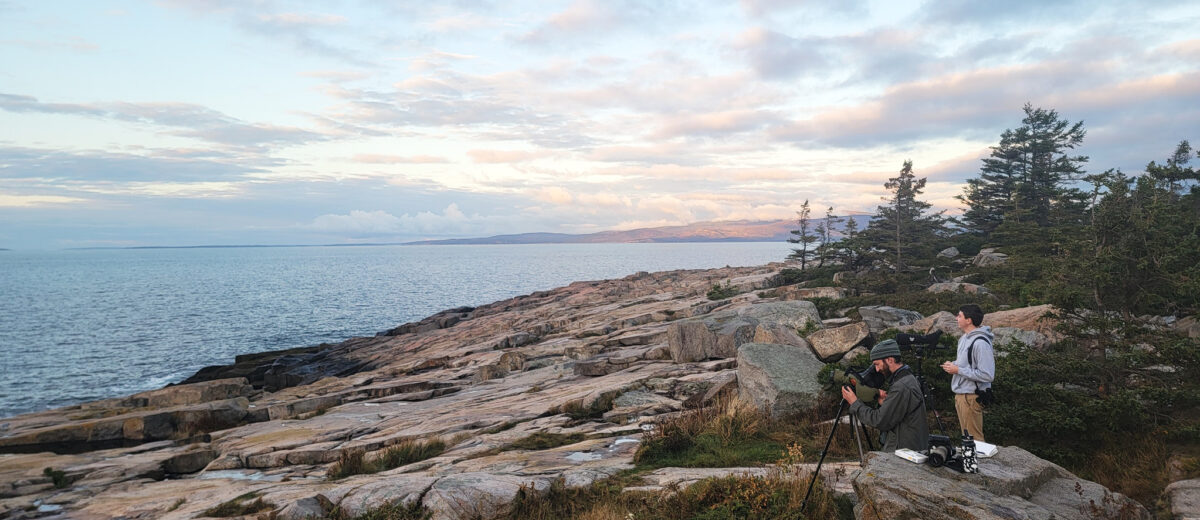 View of the horizon from Schoodic Point.