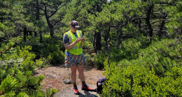 Caroline Kanaskie conducting research among the pines.