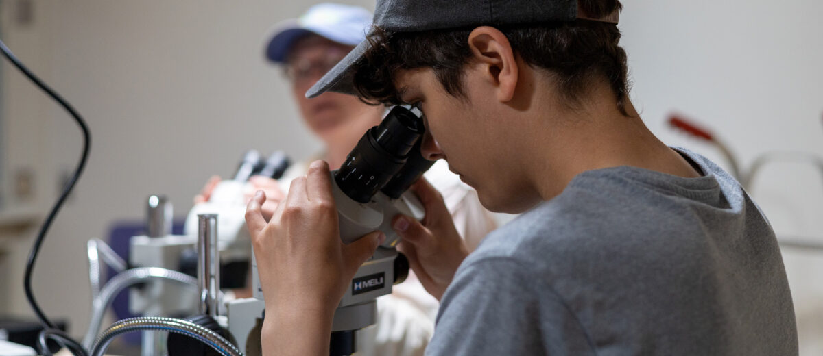 A young researcher looks through the lens of a microscope in a lab at Schoodic Institute.