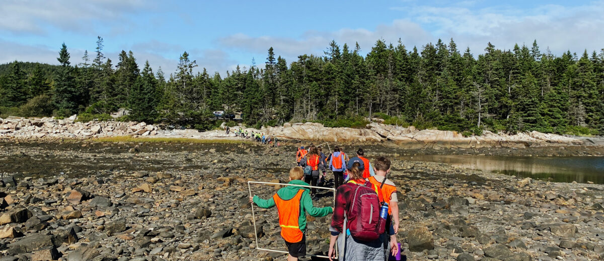 Middle school students explore the intertidal zone as part of the Schoodic Education Adventure Program.