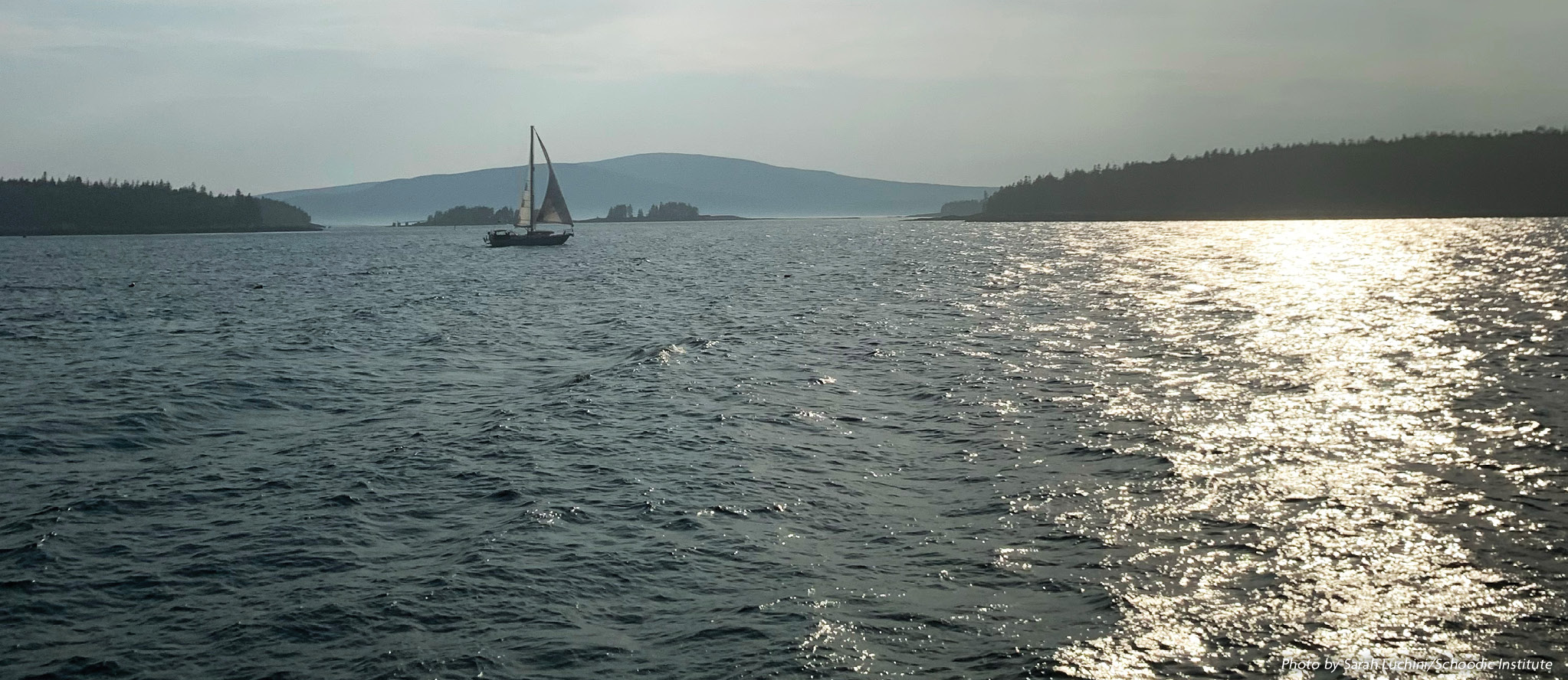 A nearing-sunset view from a whale watch catamaran of a distant harbor on Mount Desert Island.