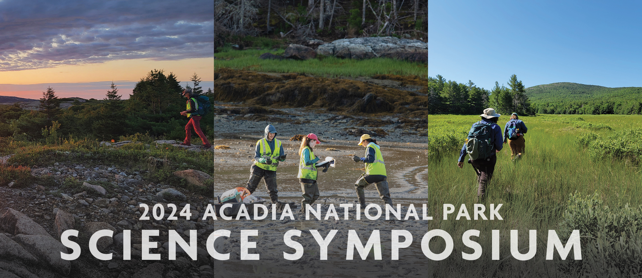 Three-image collage featuring (from left to right): A researcher hikes along a mountain trail in Acadia Nation Park at sunrise; Three ecology technicians measure and weigh seaweed at low tide; and two ecology technicians hike through a meadow wetland on a bright, blue-sky day. Overlaid is text that reads: 2024 Acadia National Park Science Symposium.