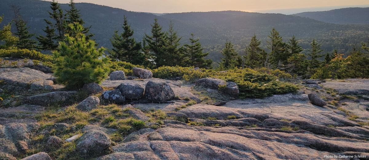 A hazy sunrise view from a mountain summit in Acadia National Park.