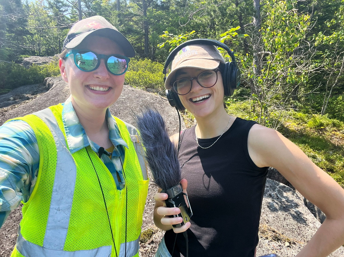 Caroline Kanaskie (left) and Catherine Devine (right) hold audio-recording equipment while monitoring pitch pine trees on Dorr Mountain in Acadia National Park.