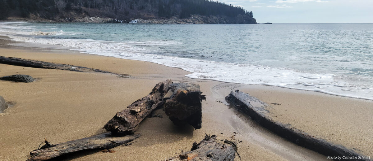 Wreckage of the Tay, a shipwrecked Canadian lumber schooner, is unearthed on Sand Beach after recent winter storms.