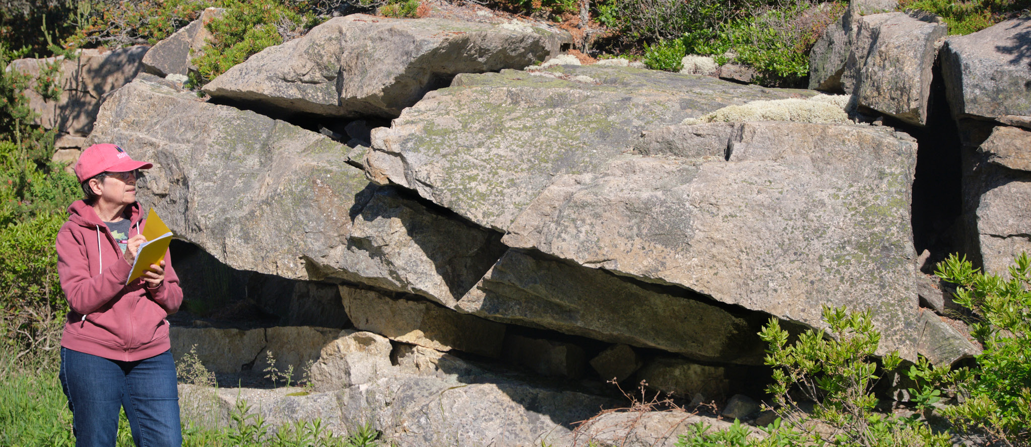 Nancy McKay observes a boulder while nature journaling.