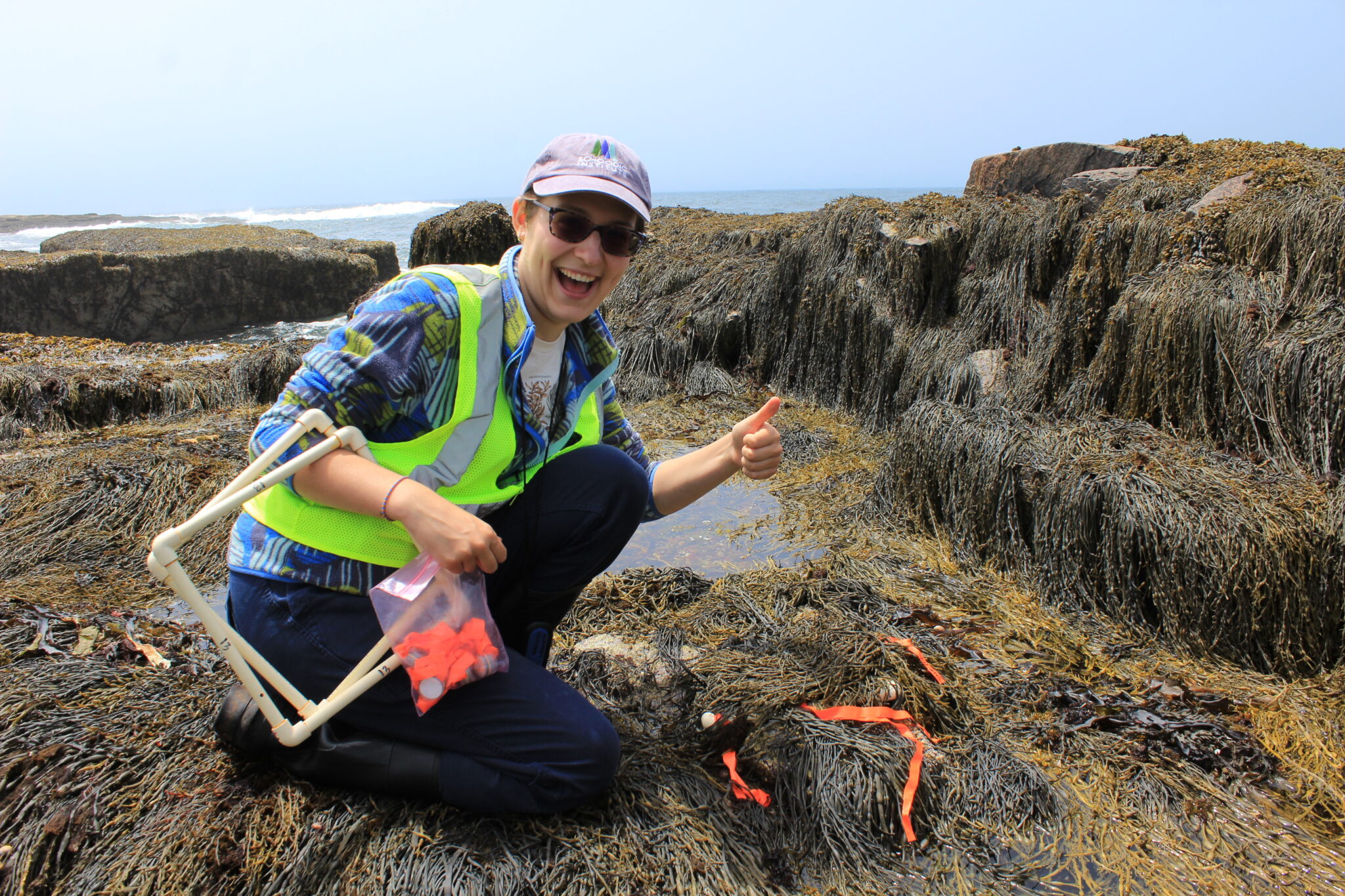 Eleanor Freed, an ecology technician, kneels among the rockweed of the intertidal zone while conducting research. They smile joyfully at the camera while holding a thumbs up.