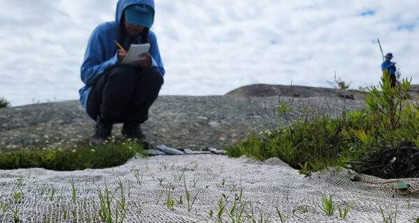 Alex Cisneros Carey, Restoration Research Associate at Schoodic Institute, crouches down near a mountain summit in Acadia while taking notes and observing an experimental vegetation plot.