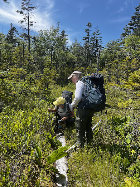 Two people stop to look at bog plants along the Bowditch Trail