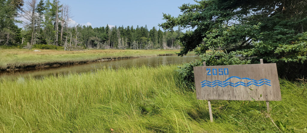 A stenciled sign reading "Coastlines" shows the sea level rise at the Oceanarium in Bar Harbor, Maine