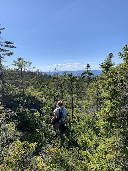 A hiker pauses along the trail on Duck Harbor Mountain