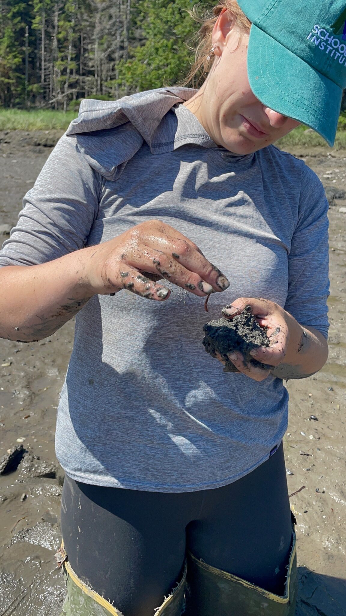 An science intern carefully holds a worm while standing in the mud of the intertidal zone