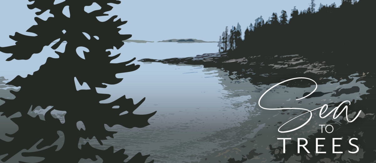 Illustrative graphic cover art for the Sea to Trees podcast, showing illustration of a tree in the foreground, and in the background is a small cover at lowtide with the ocean's horizon line in the background. A cool color palette is used, mainly blues, grays, deep greens.