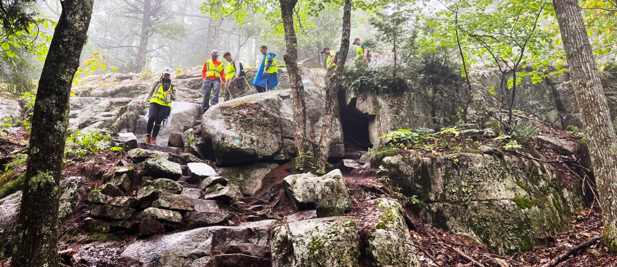 A group of hikers meander through a dense forest trail on a foggy day in Acadia National Park