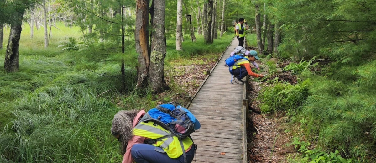 Earthwatch team members crouch along a boardwalk in Acadia while examining nearby plant life