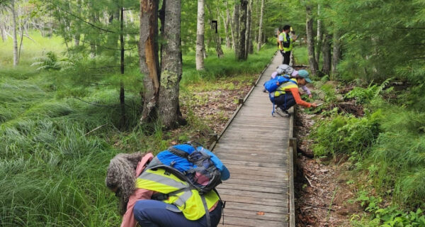 Earthwatch team members crouch along a boardwalk in Acadia while examining nearby plant life