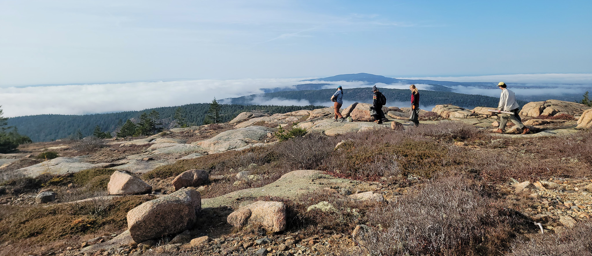 As clouds pass by under a blue sky, a team of four ecology technicians hike along Penobscot's summit in Acadia