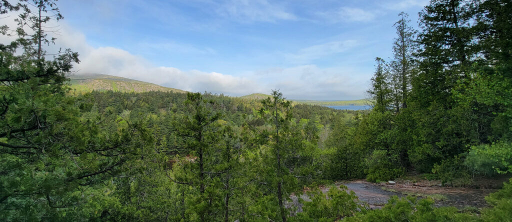 View from a forest path in Acadia National Park shows blue sky over low rolling mountains