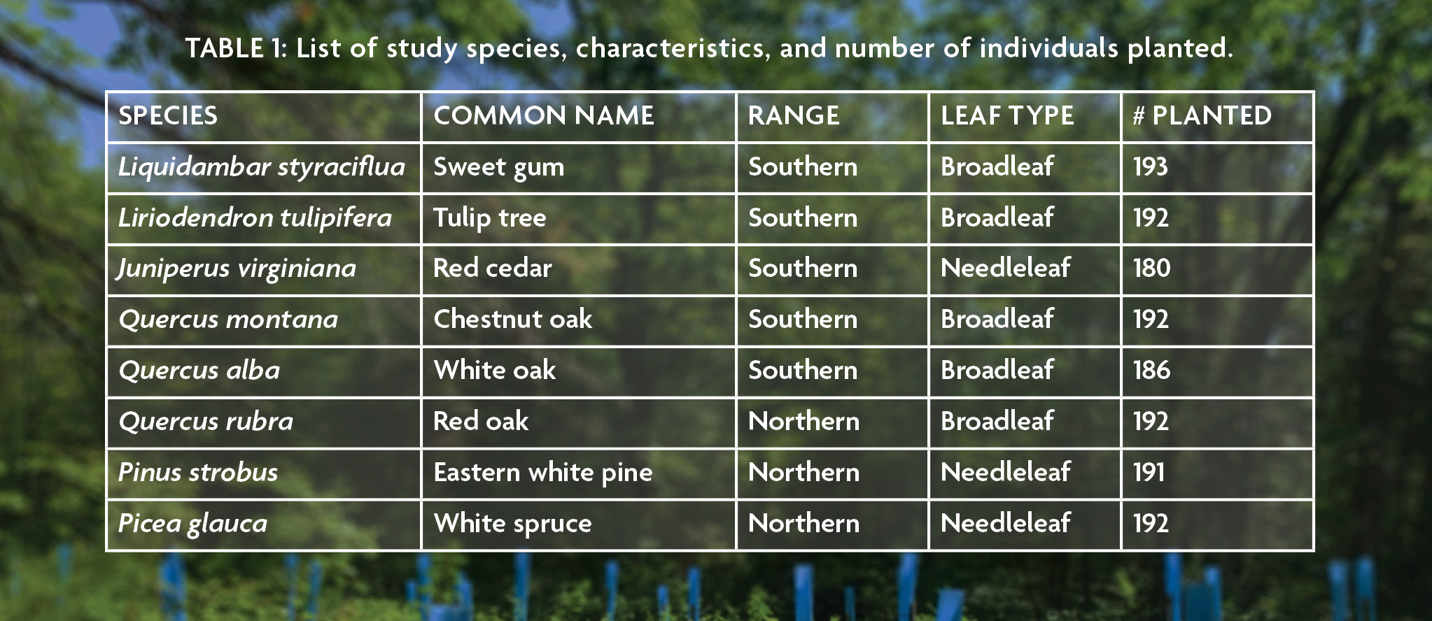 A table showings a listening of study species, characteristics, and number of individuals planted