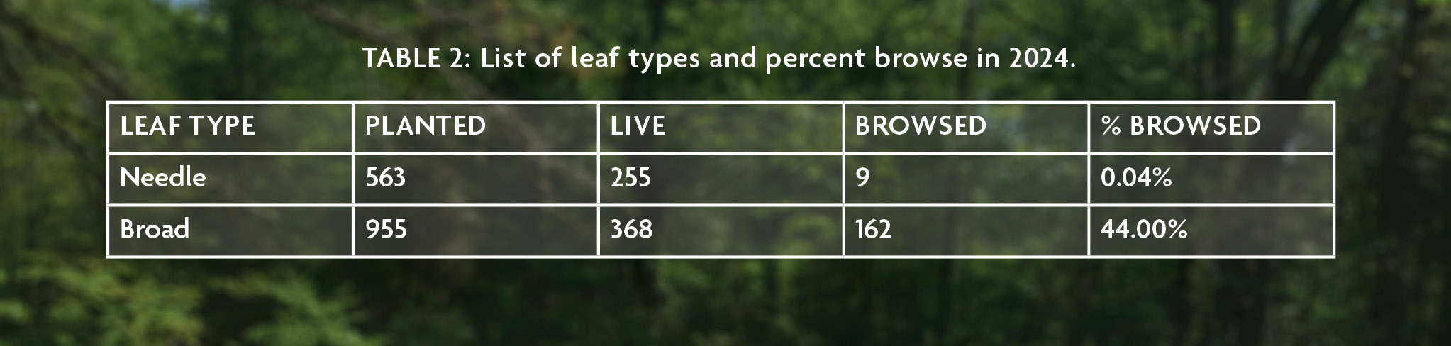 A table showing a list of leaf types and percent browse in 2024