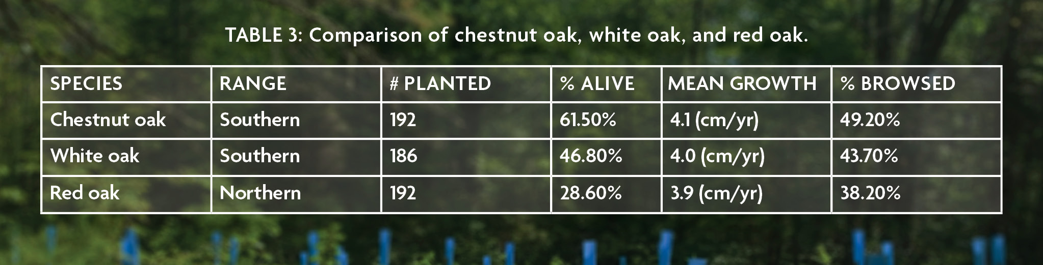 Table 3. Comparison of chestnut oak, white oak, and red oak