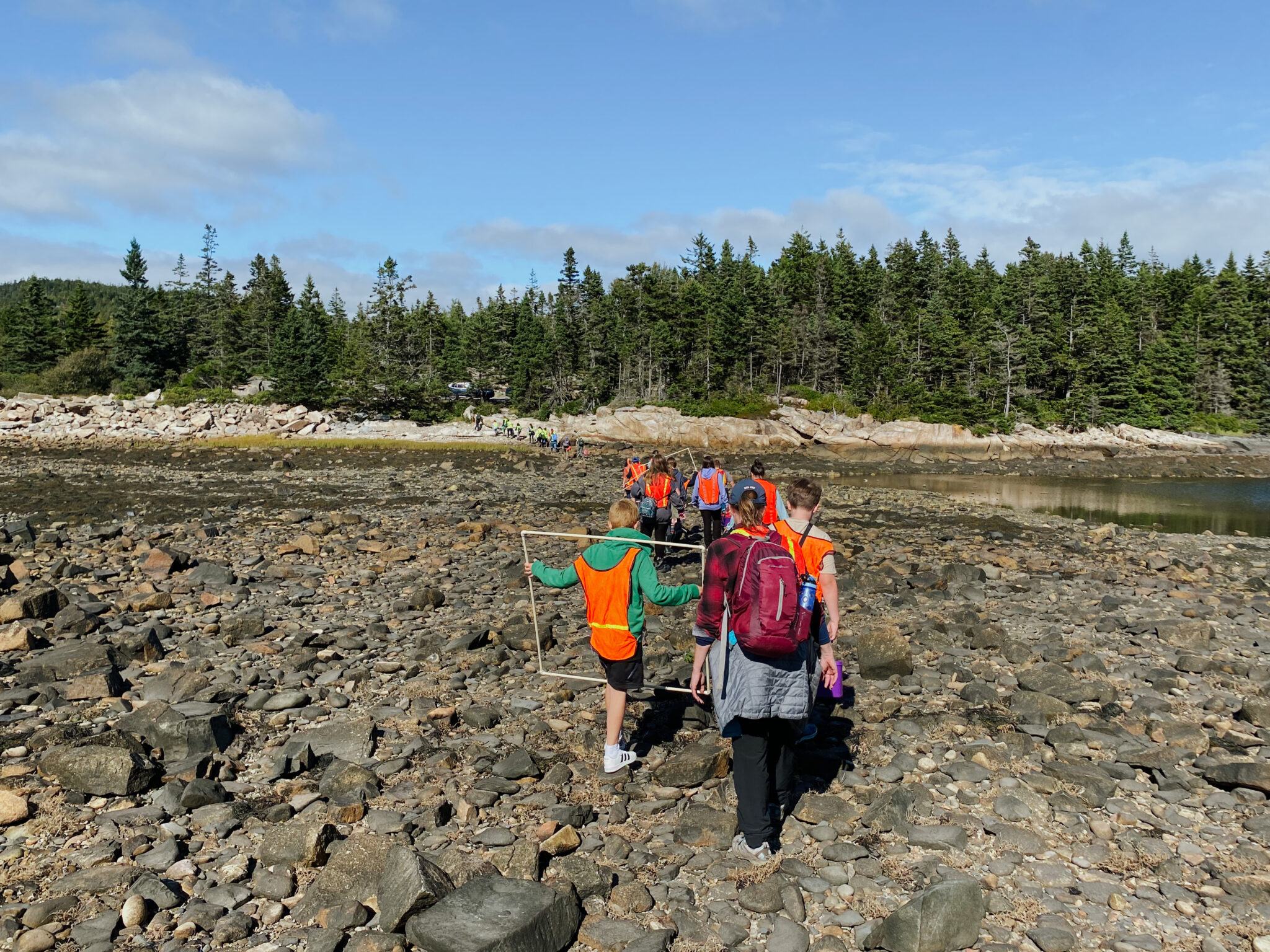 Middle school students trudge through the mud and rocks of the intertidal zone while participating in the SEA Program at Schoodic Institute on a blue-sky day