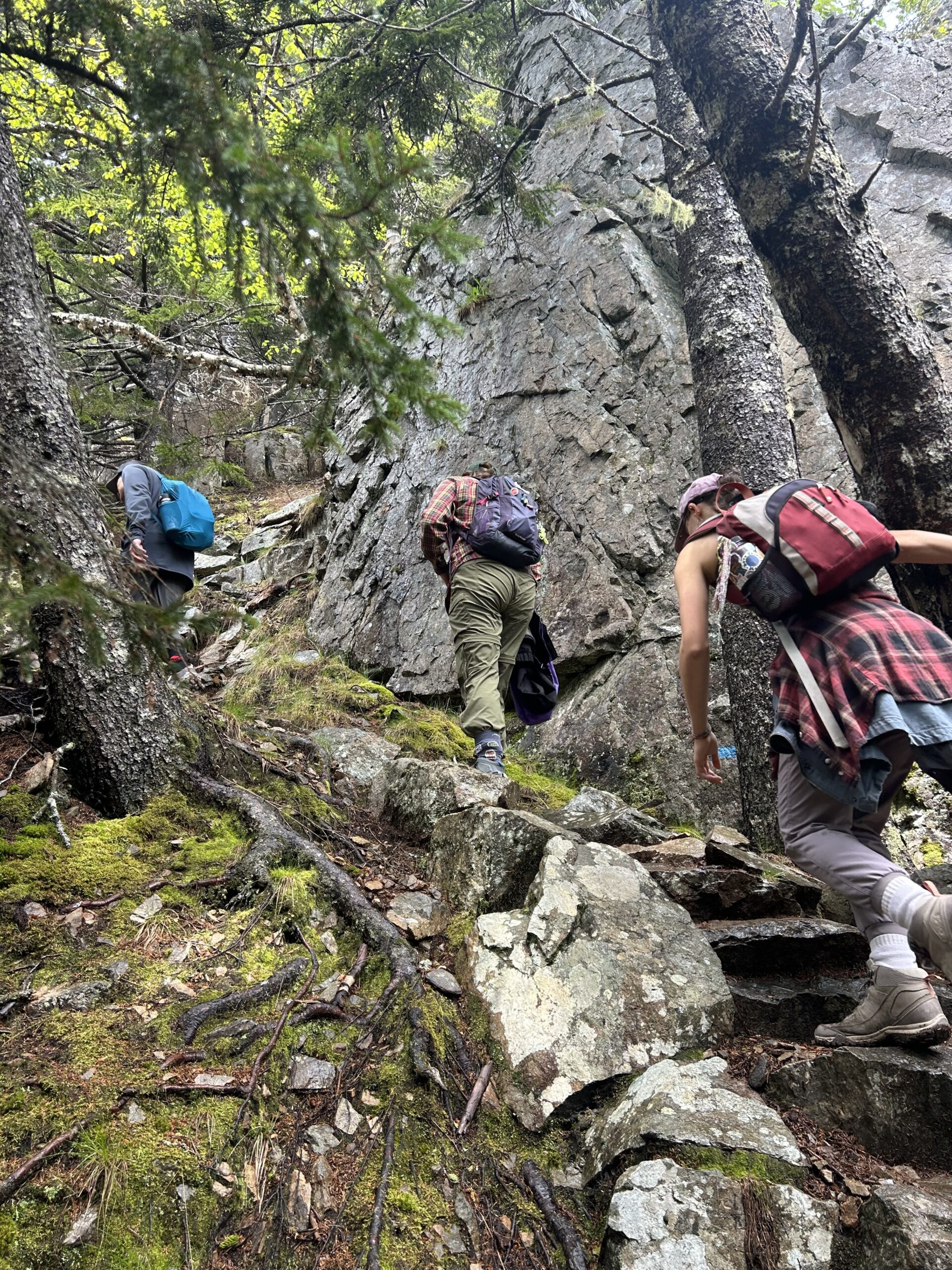 A group of early career professionals hike the Anvil Trail on the Schoodic Peninsula