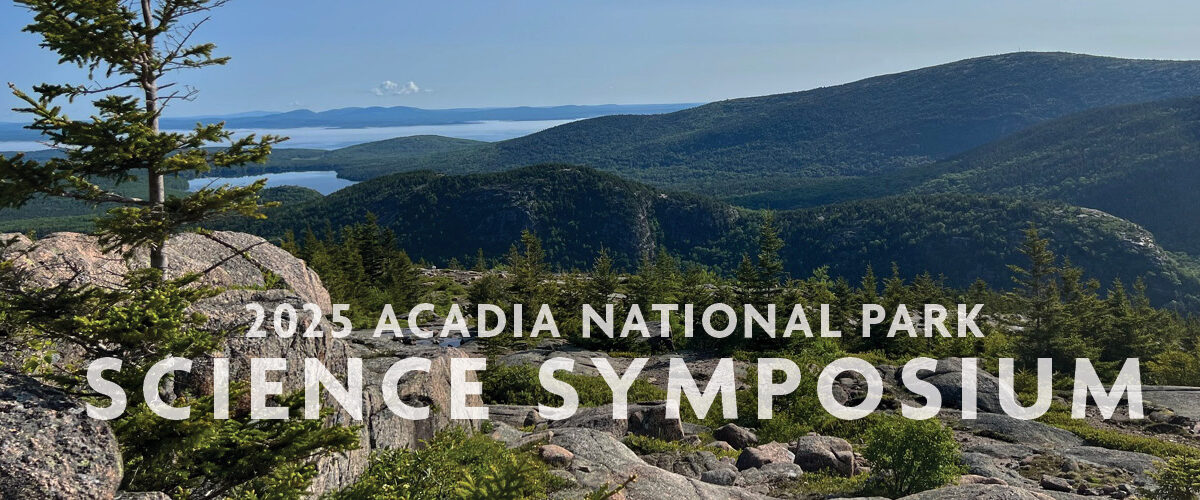 View from mountaintop in Acadia National Park, looking out toward the ocean beyond with blue sky above.