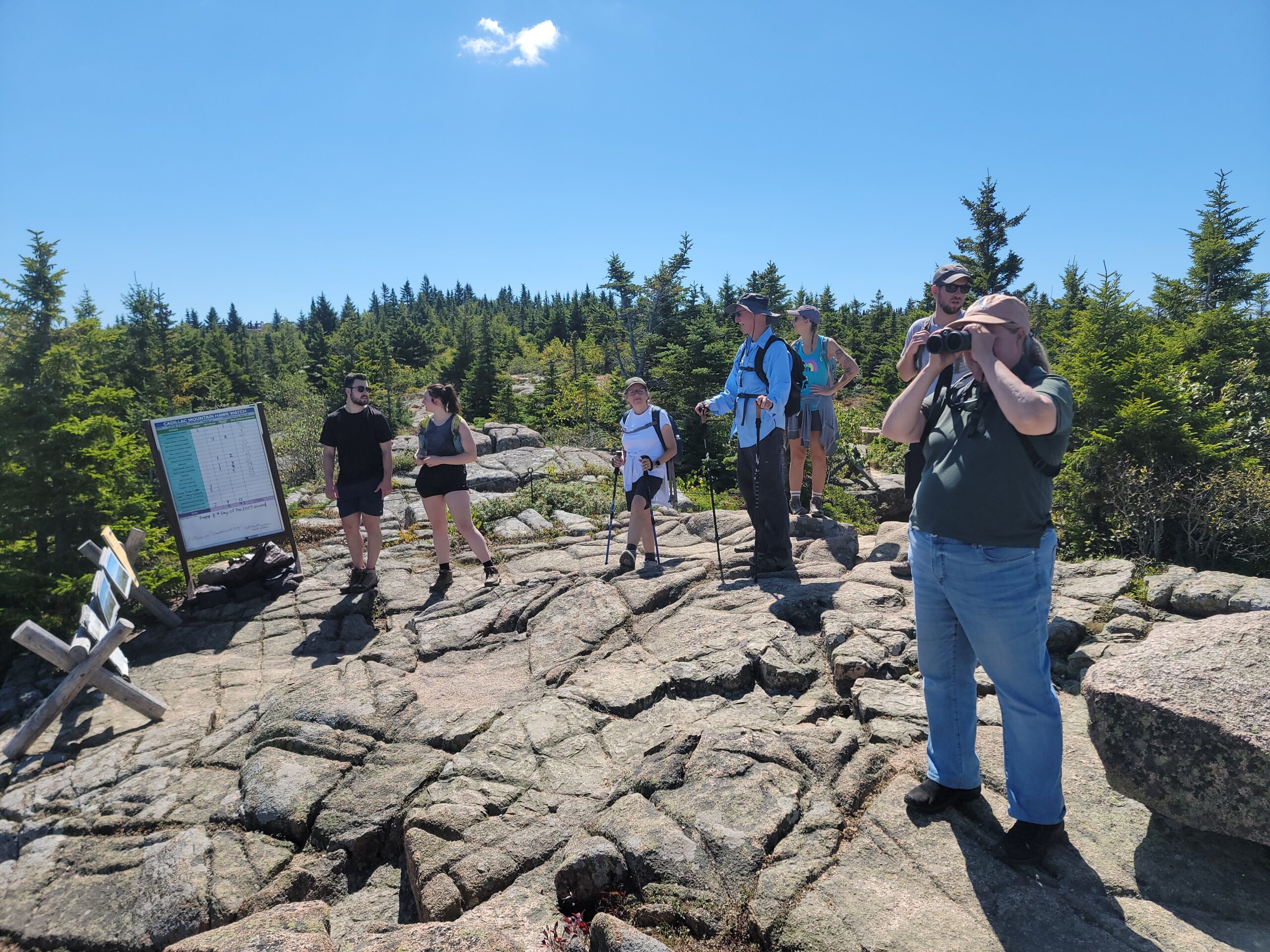 Volunteers gather with binoculars near the summit of Cadillac Mountain in Acadia National Park to monitor hawk migration under a clear blue sky