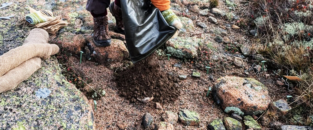 A person empties a bag of soil onto the ground of a mountain summit