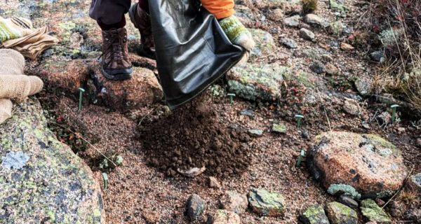 A person empties a bag of soil onto the ground of a mountain summit