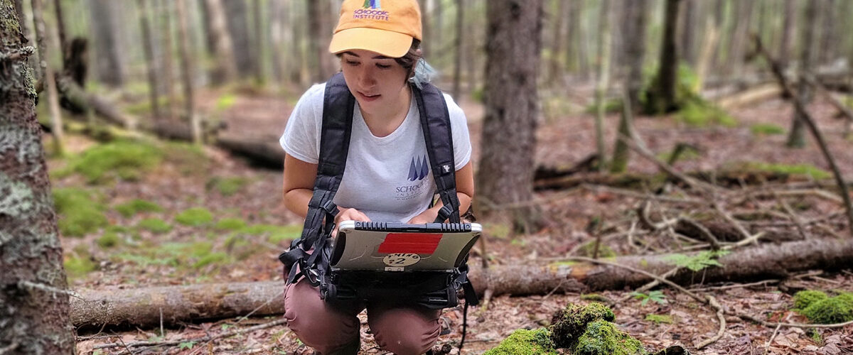 Lucy crouches low to the ground while holding a tablet and observing the forest floor