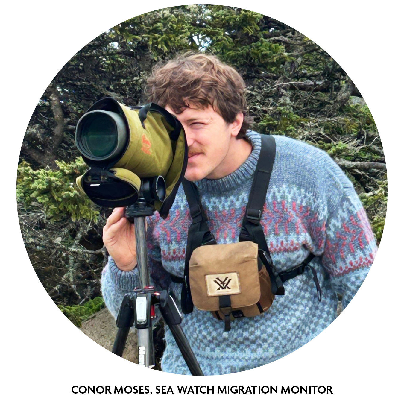 Connor peers into a scope while birding at Schoodic Point