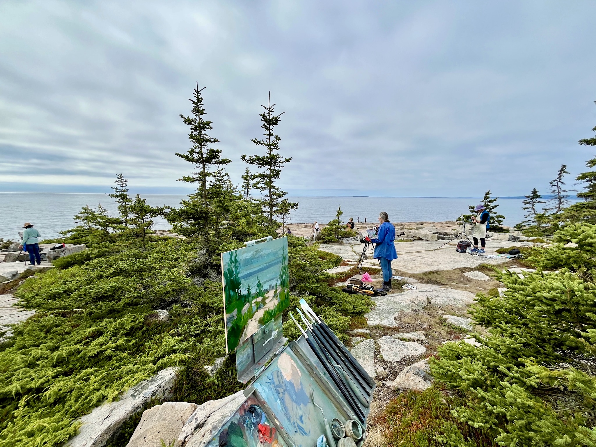 A group of plein-air painters stand by their easel while working on their paintings at Schoodic Point on a cloudy day