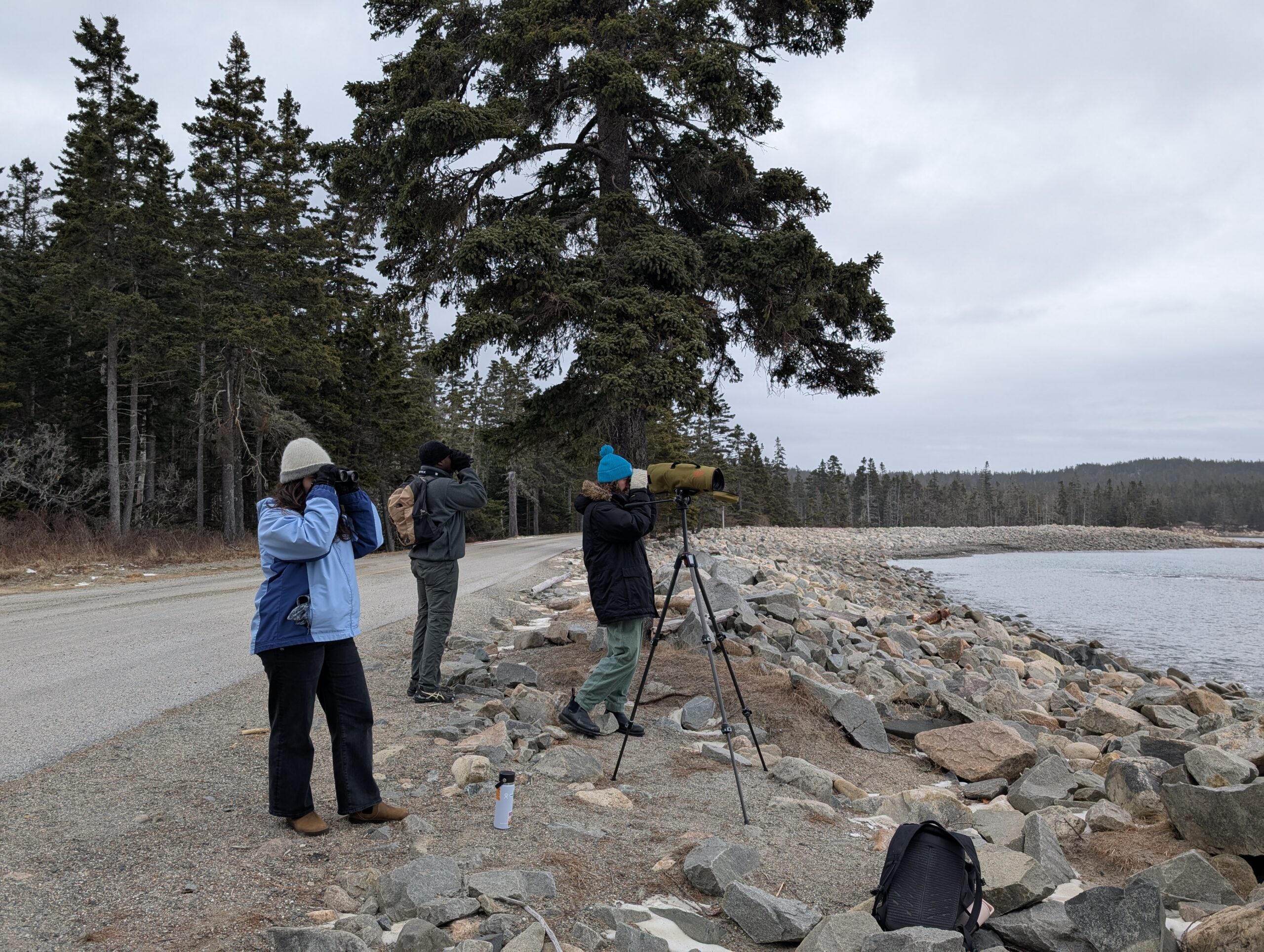 A group of birders gather near the coastline with binoculars while searching for seabirds on a cloudy day