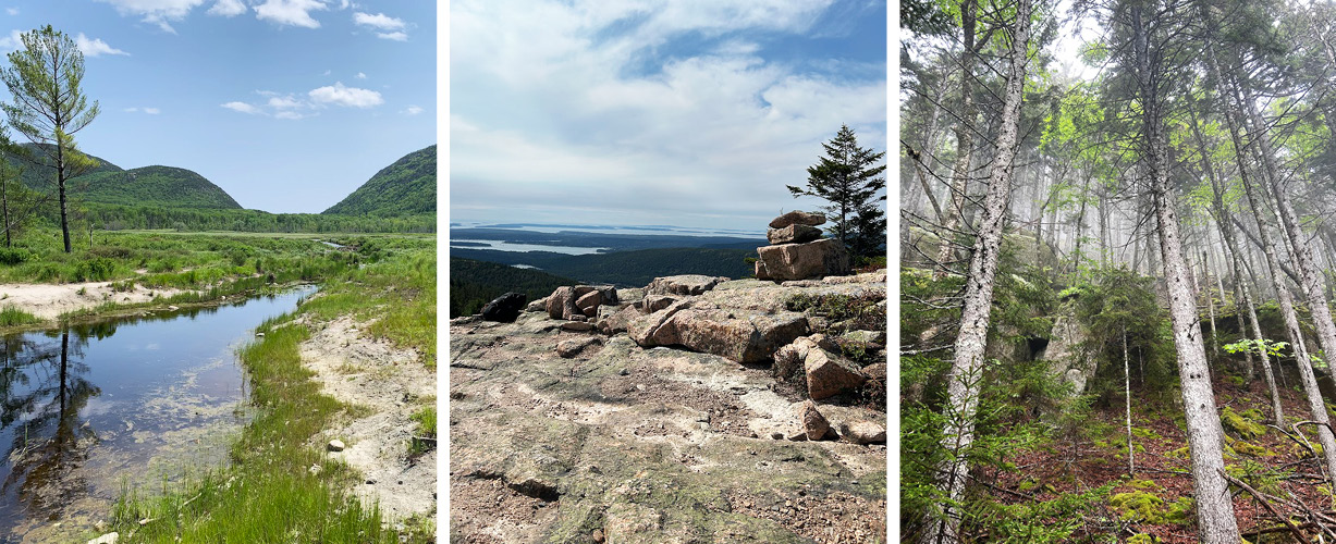 Collage of 3 photos: 1 - The 100-acre Great Meadow Wetland which is undergoing a restoration project that includes a culvert replacement, plant monitoring and a pollen study. 2 - A view from one of the summit restoration plots atop Sargent Mountain. Summits are home to subalpine ecosystems that face vegetation loss and erosion from human recreation and storm events. 3 - The spruce-fir forests in Acadia face an uncertain future with the effects of climate change. Park scientists are closely monitoring changes in these forests.