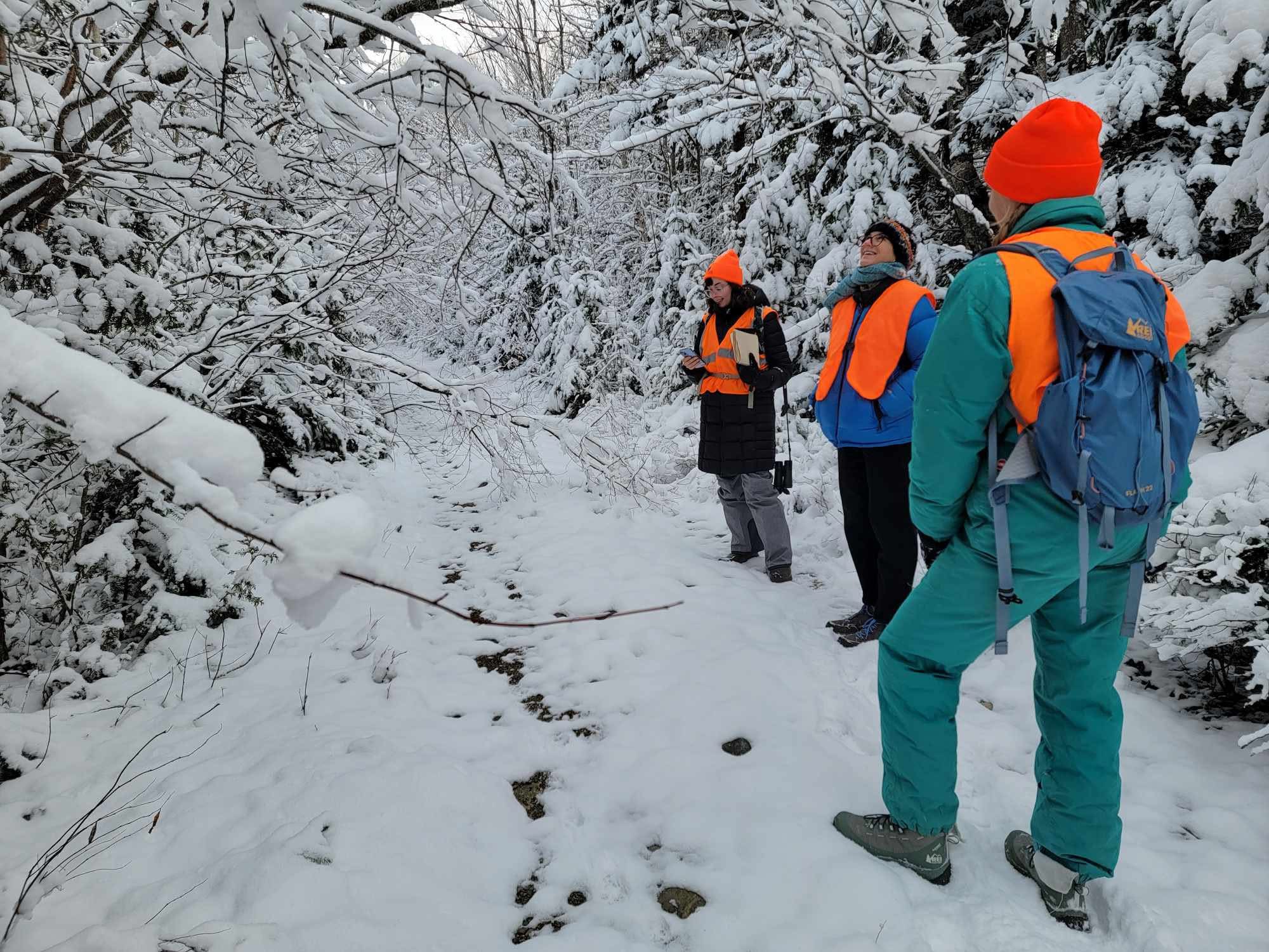 Three people wear orange vests and brave the winter cold while conducting field research in a snow-covered forest 