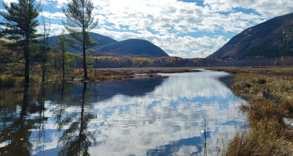 Great Meadow
