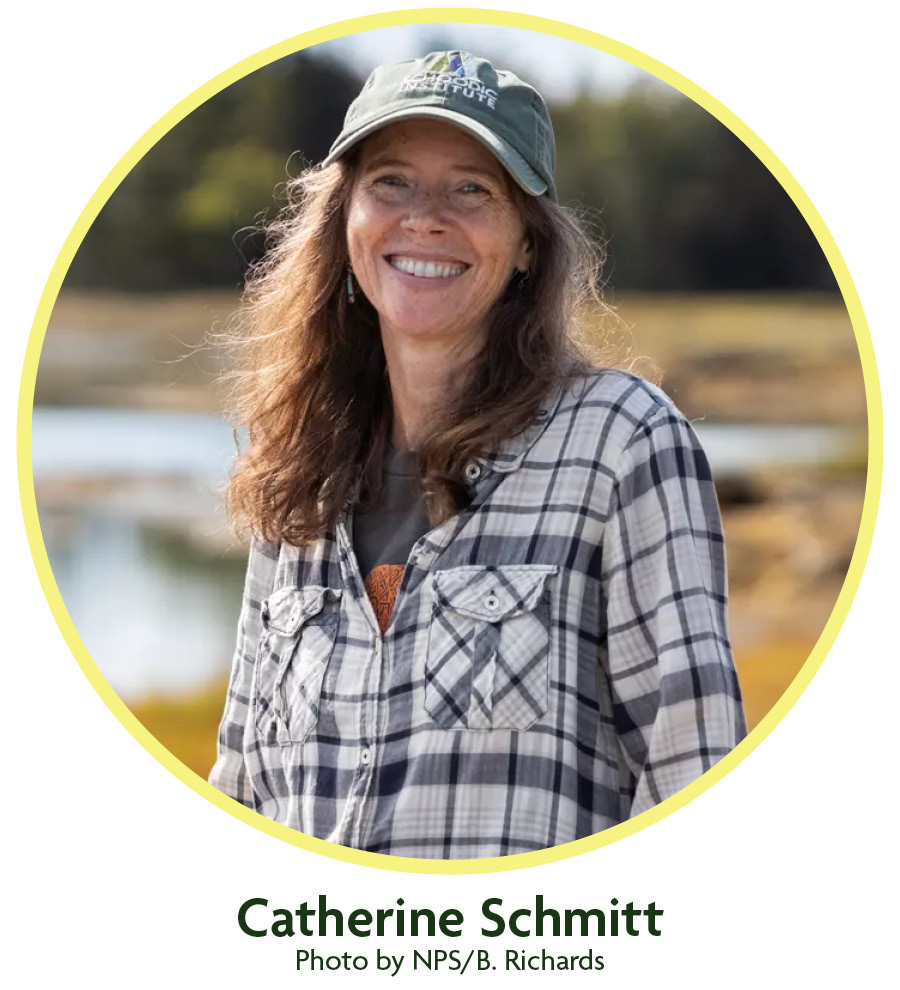 Headshot of Catherine Schmitt