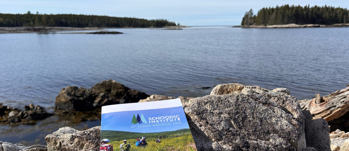 Schoodic Institute's Impact Report rests on boulders by the coastline