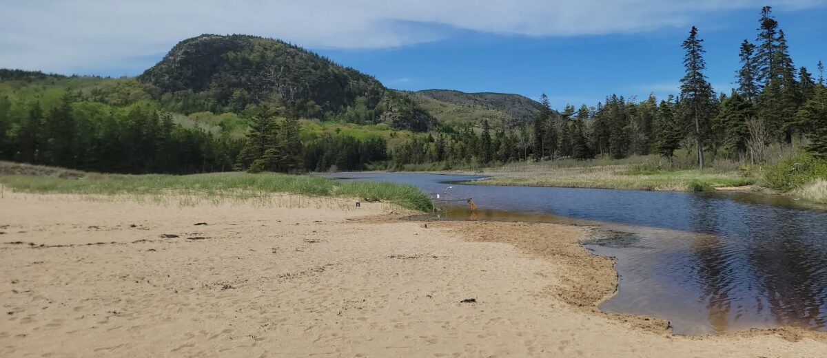 scenic view of a stream flowing through a sandy beach with trees and a forested hill in the background